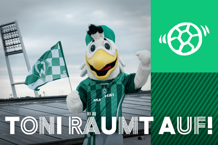 Cover Toni räumt auf!