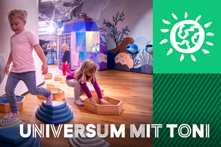 Cover Universum mit Toni